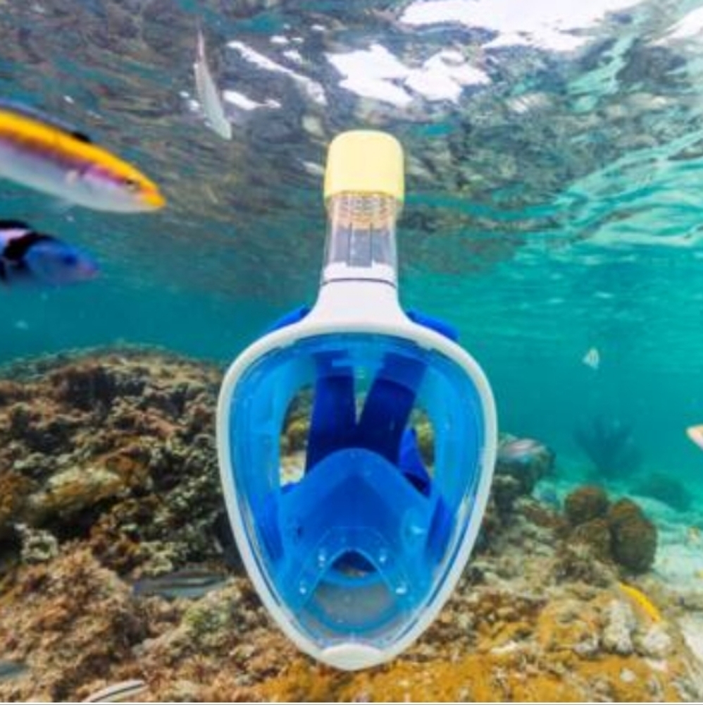 Full Face Snorkle DIVE Mask